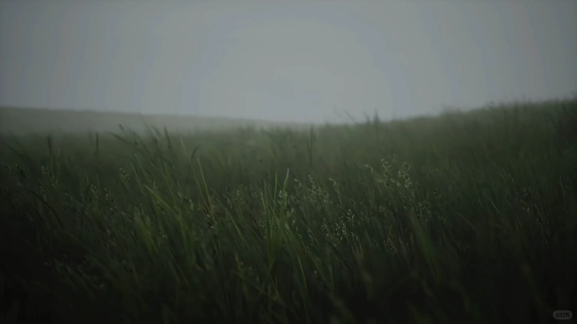 动态壁纸分享第233期