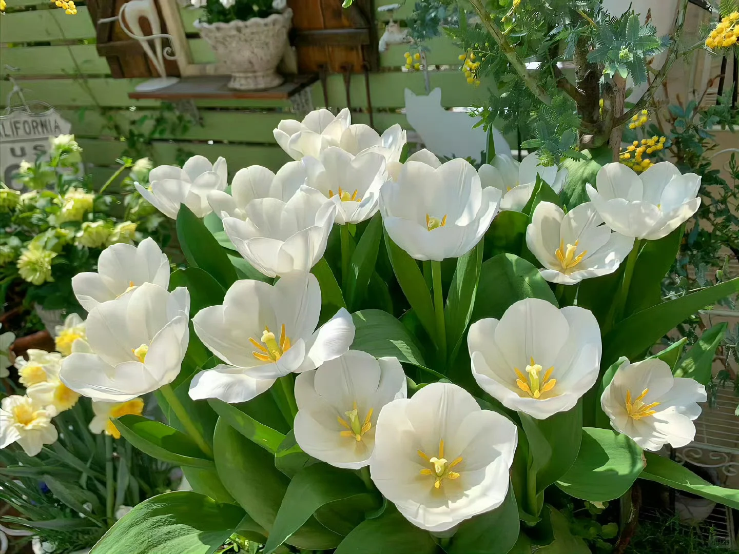 更新一组iPad壁纸