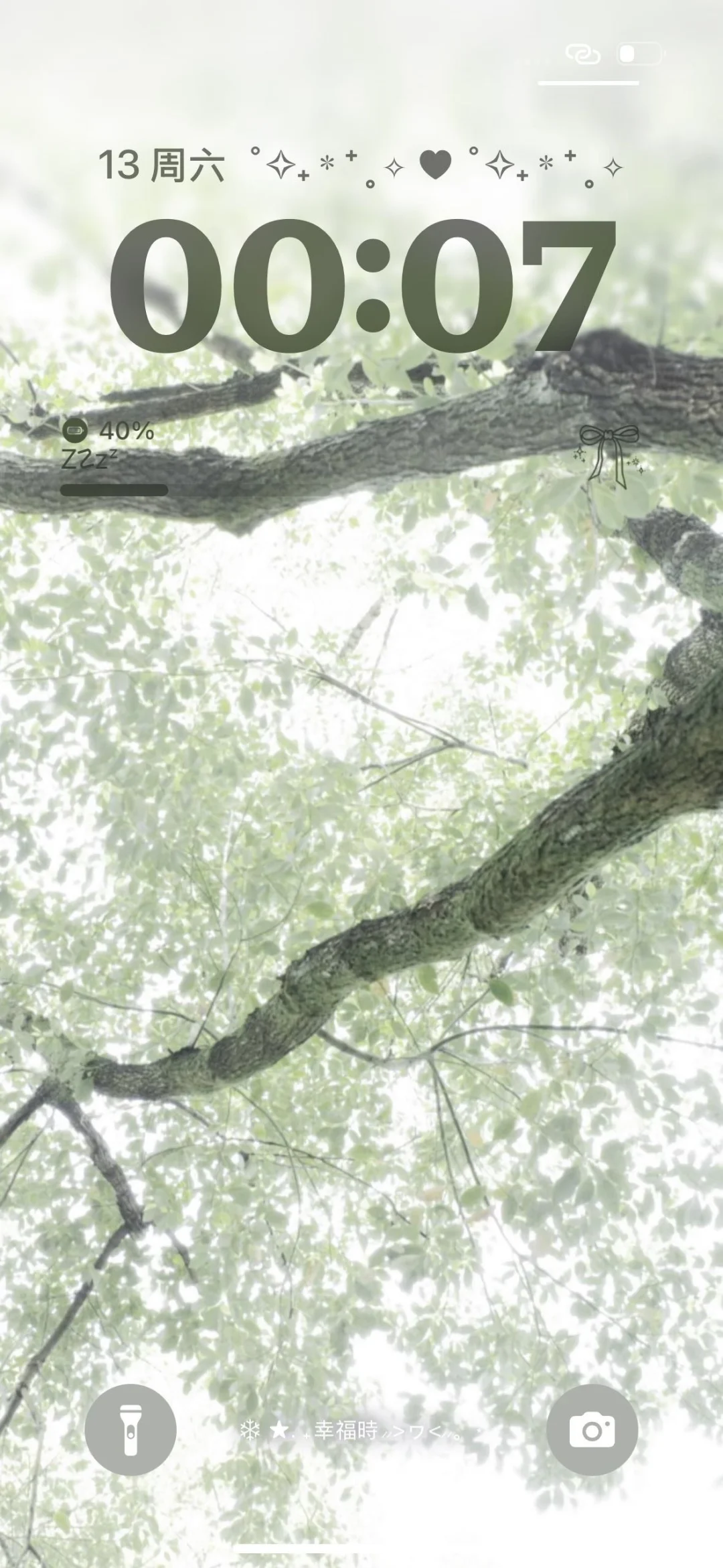 手机壁纸 | 叶隙间的闪烁是大树跳动的心脏