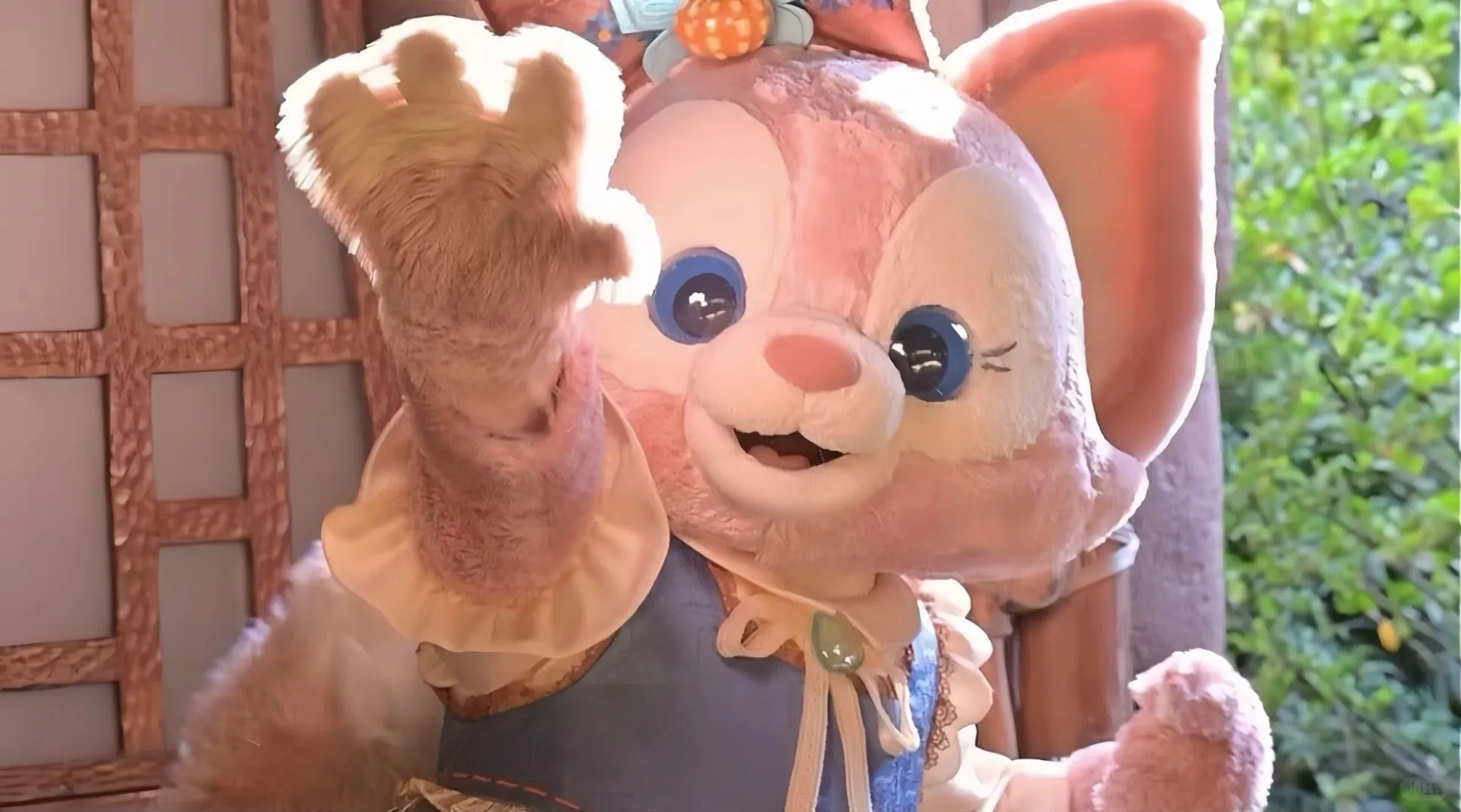 ipad/电脑壁纸🦊