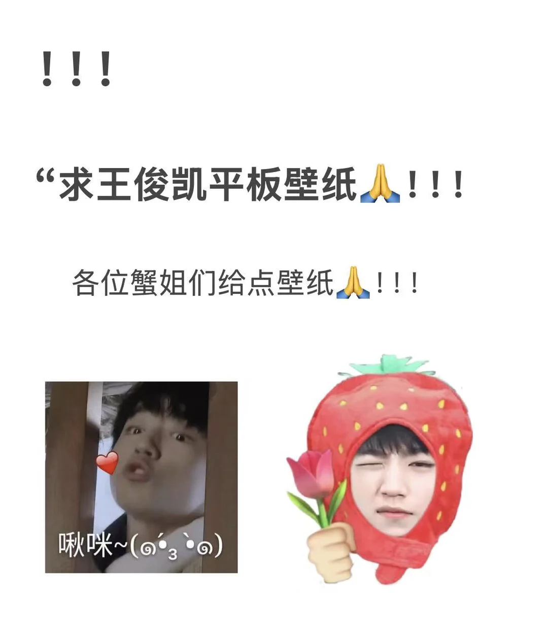 求王俊凯平板壁纸🙏🏻