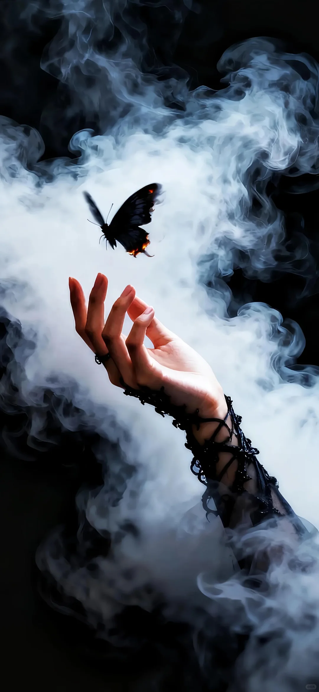 高级壁纸｜第115期