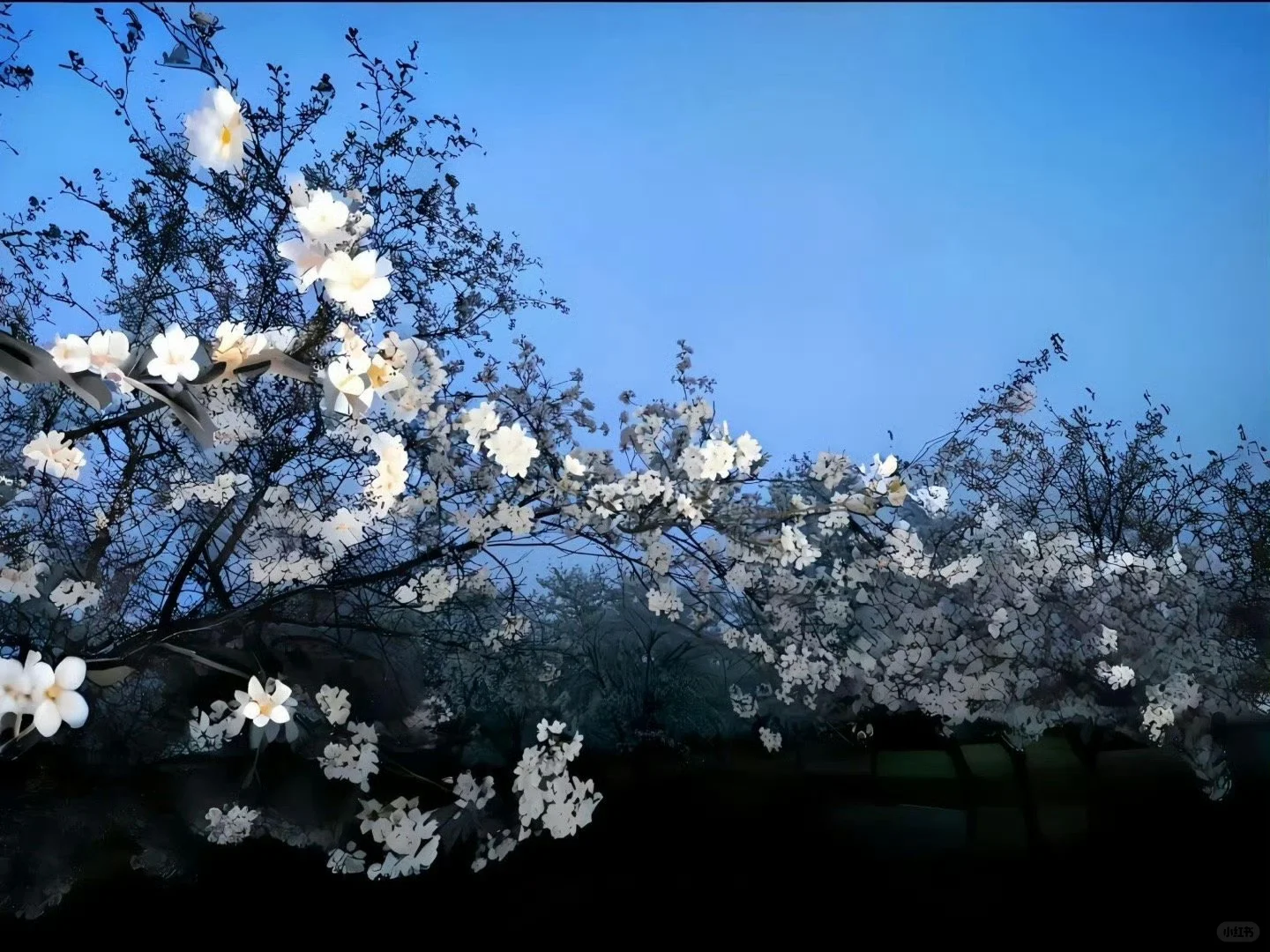 更新一组iPad壁纸