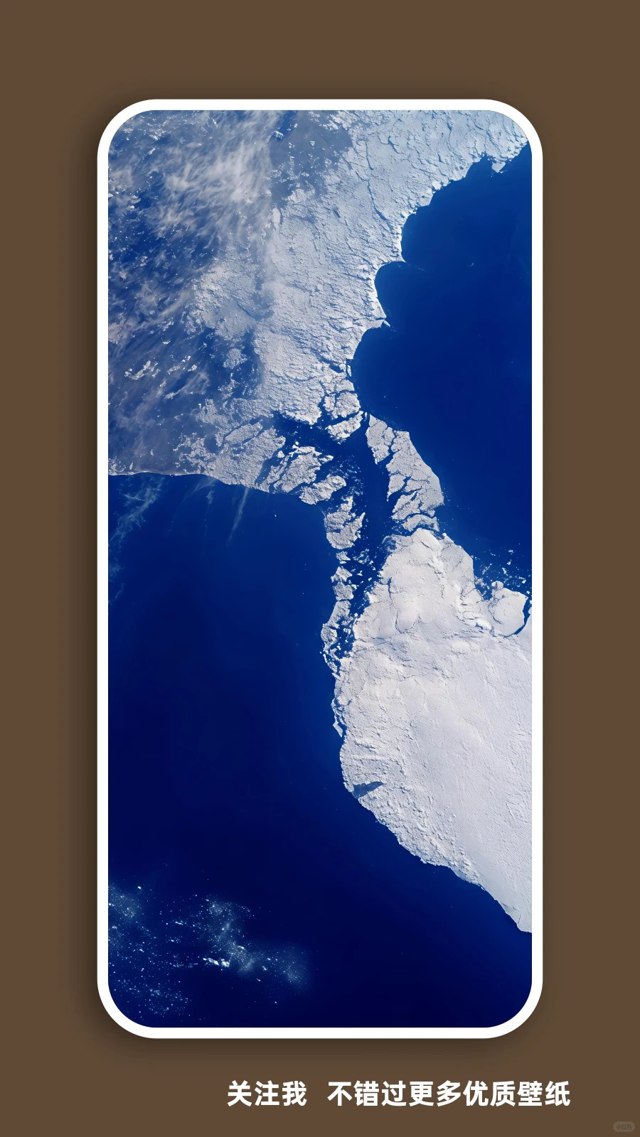 壁纸（296）海与海鸥