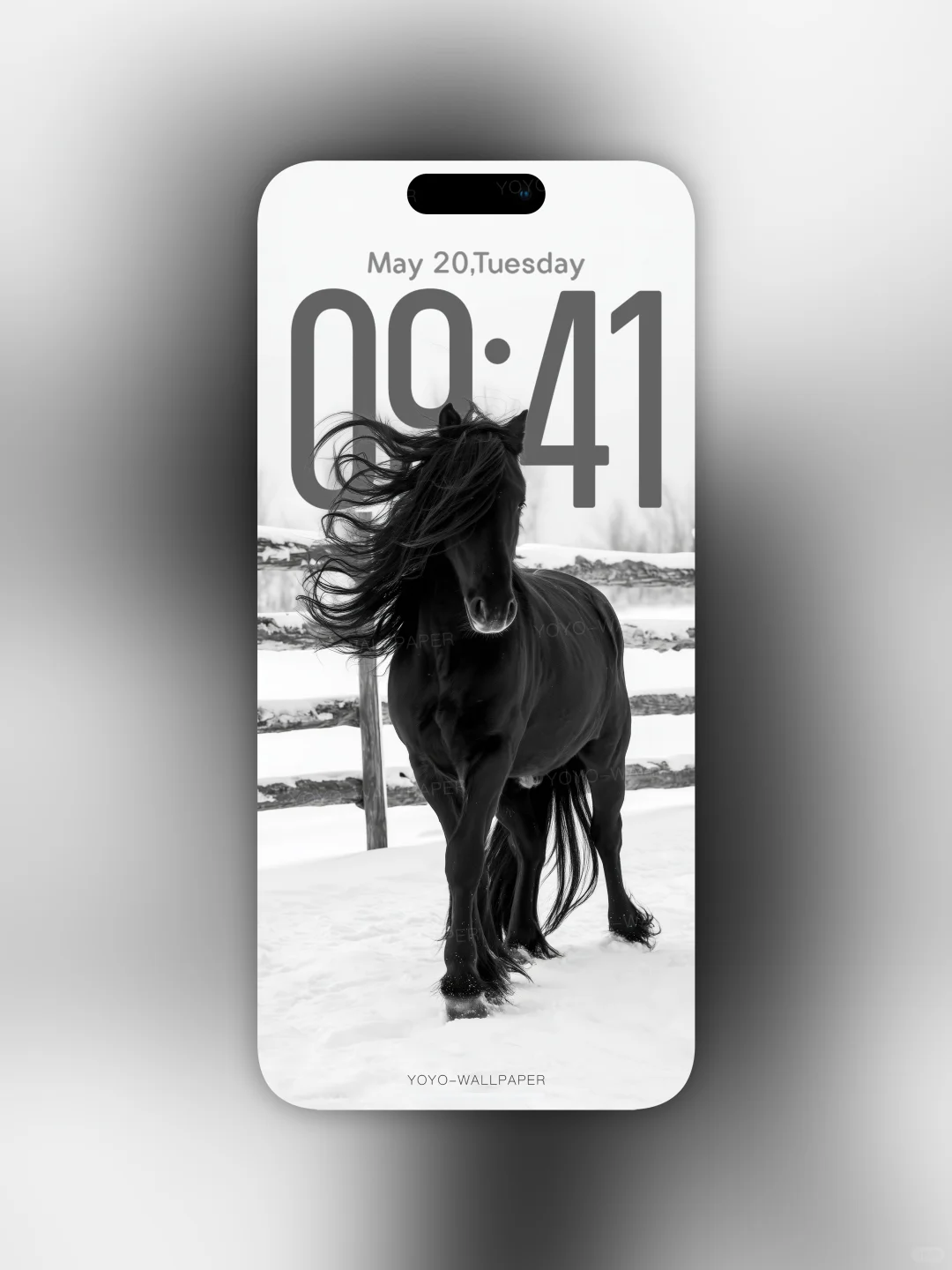 171 | ios景深壁纸 | 黑马踏雪❄️