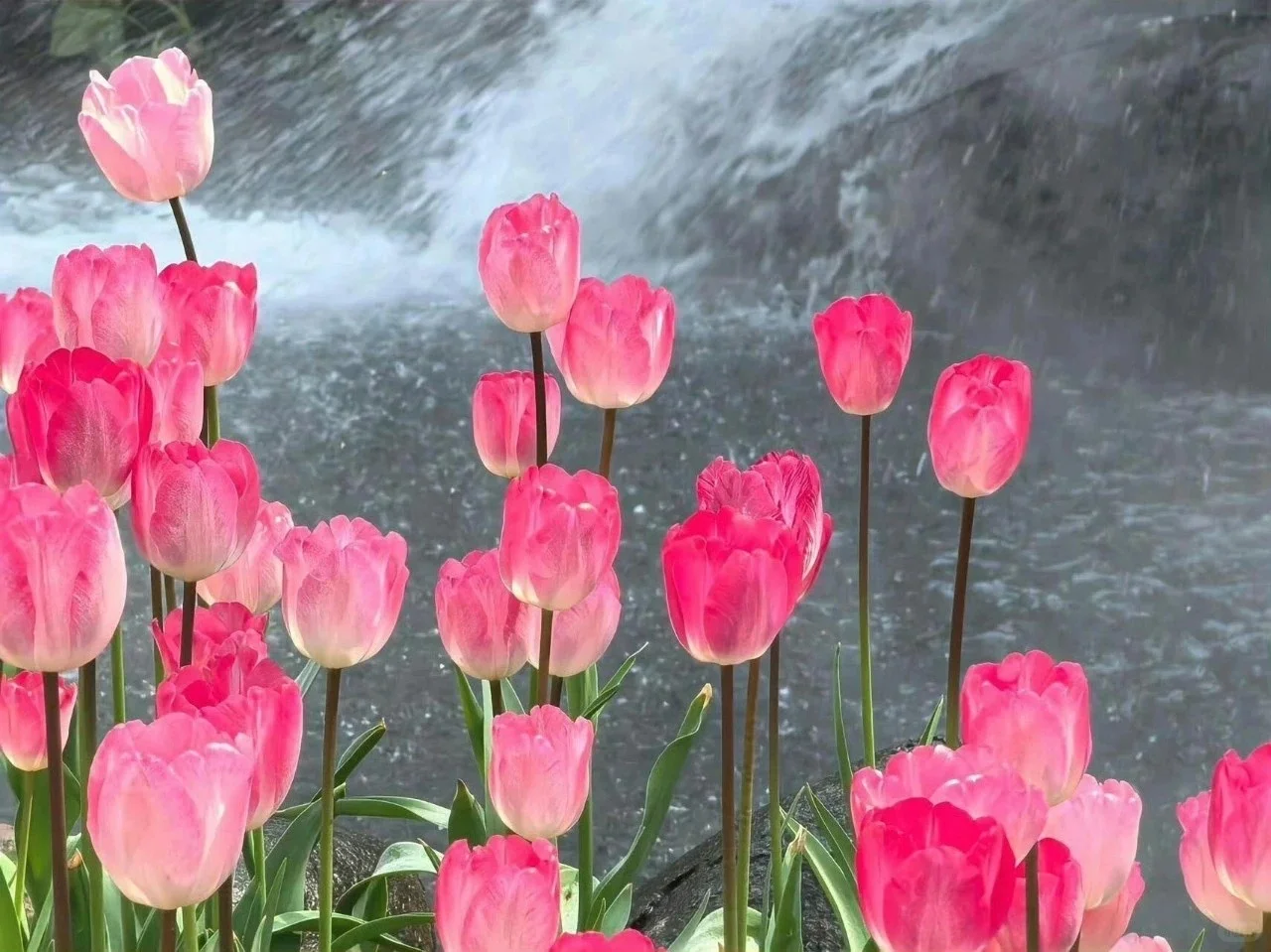 更新一组iPad壁纸