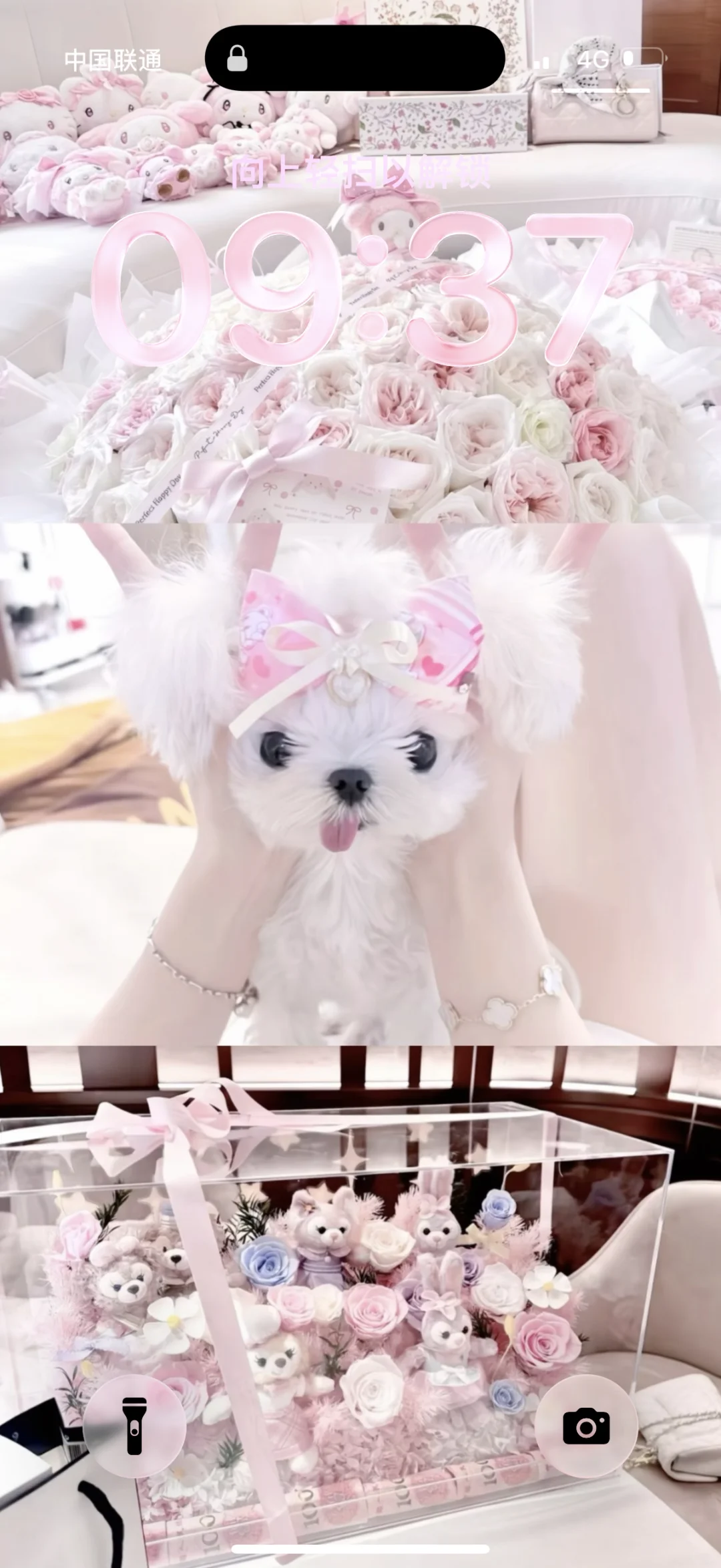 真的好喜欢这张壁纸！！！