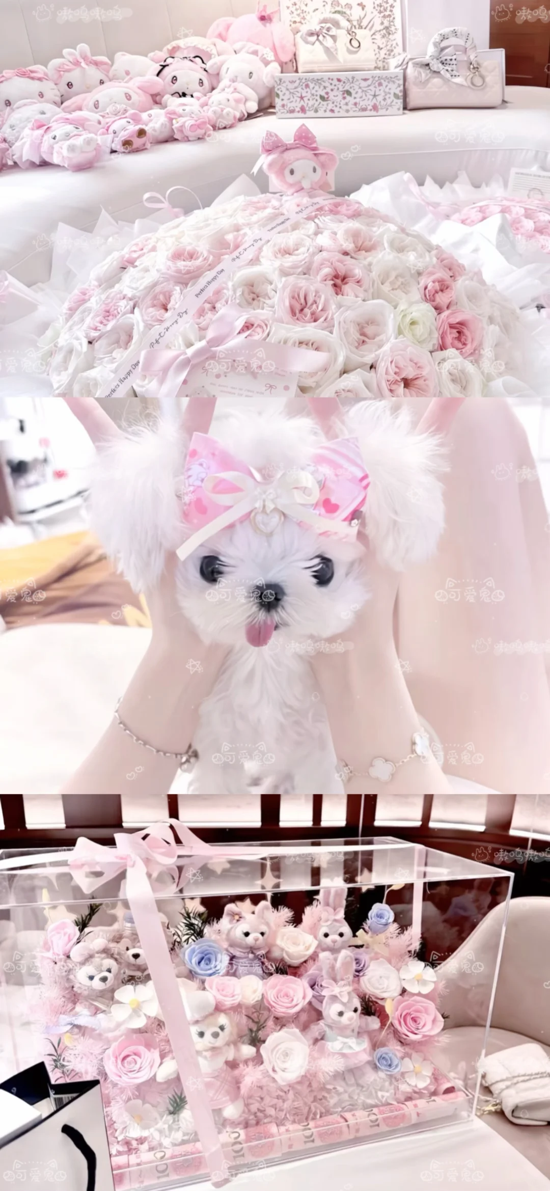 真的好喜欢这张壁纸！！！