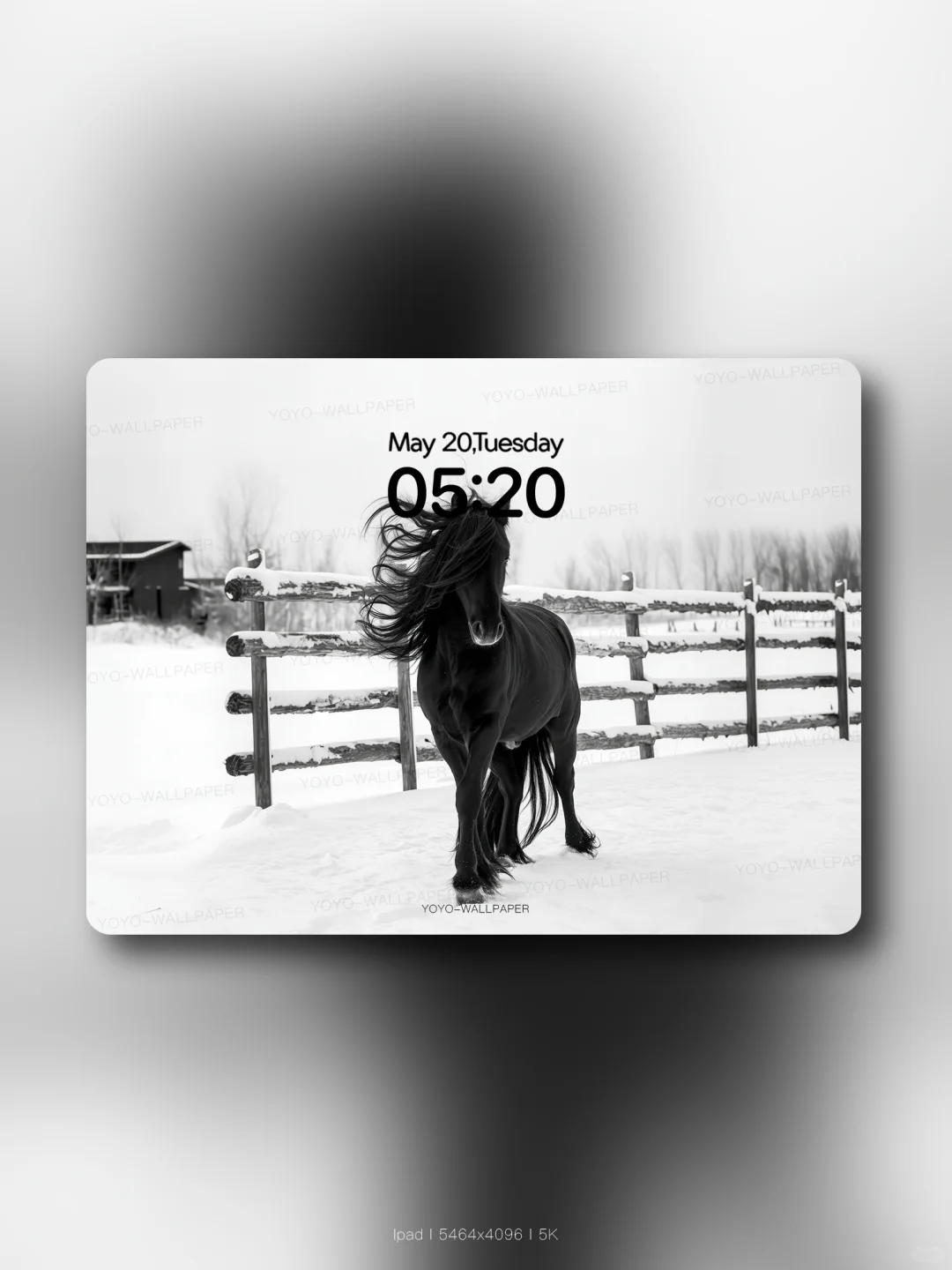 171 | ios景深壁纸 | 黑马踏雪❄️