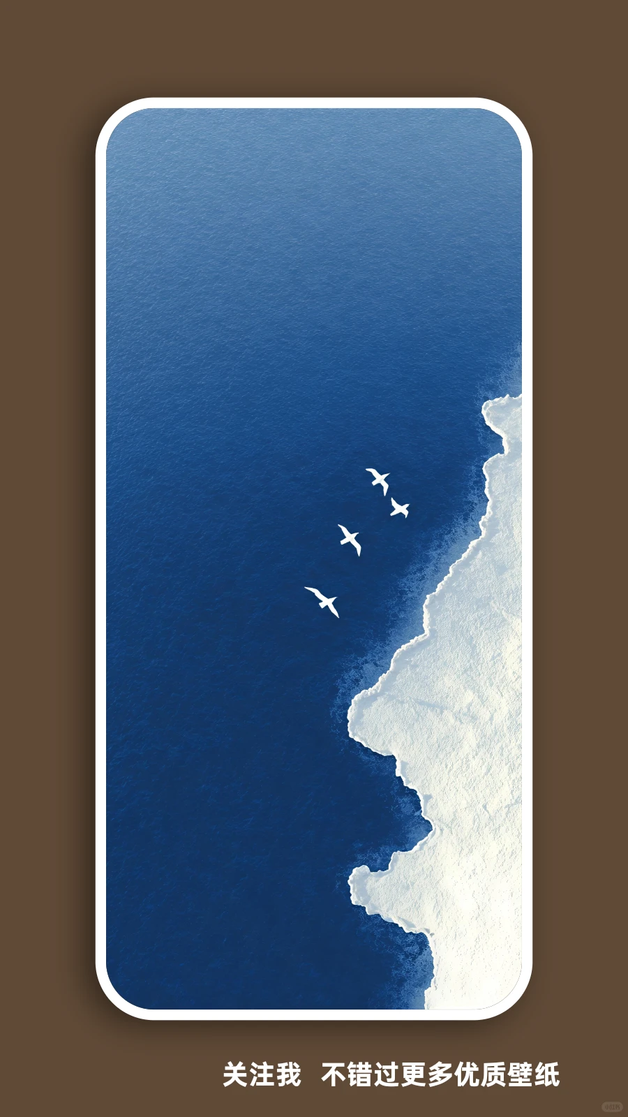 壁纸（296）海与海鸥