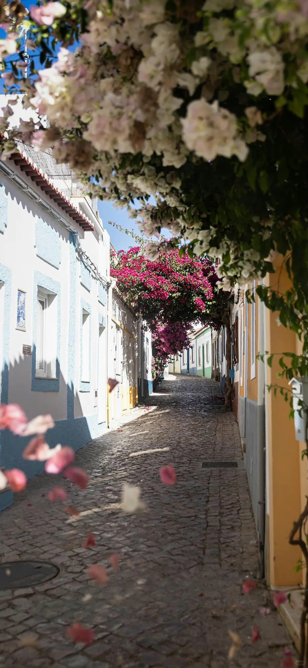 18张4K超清风景壁纸，尽享大自然的视觉盛宴