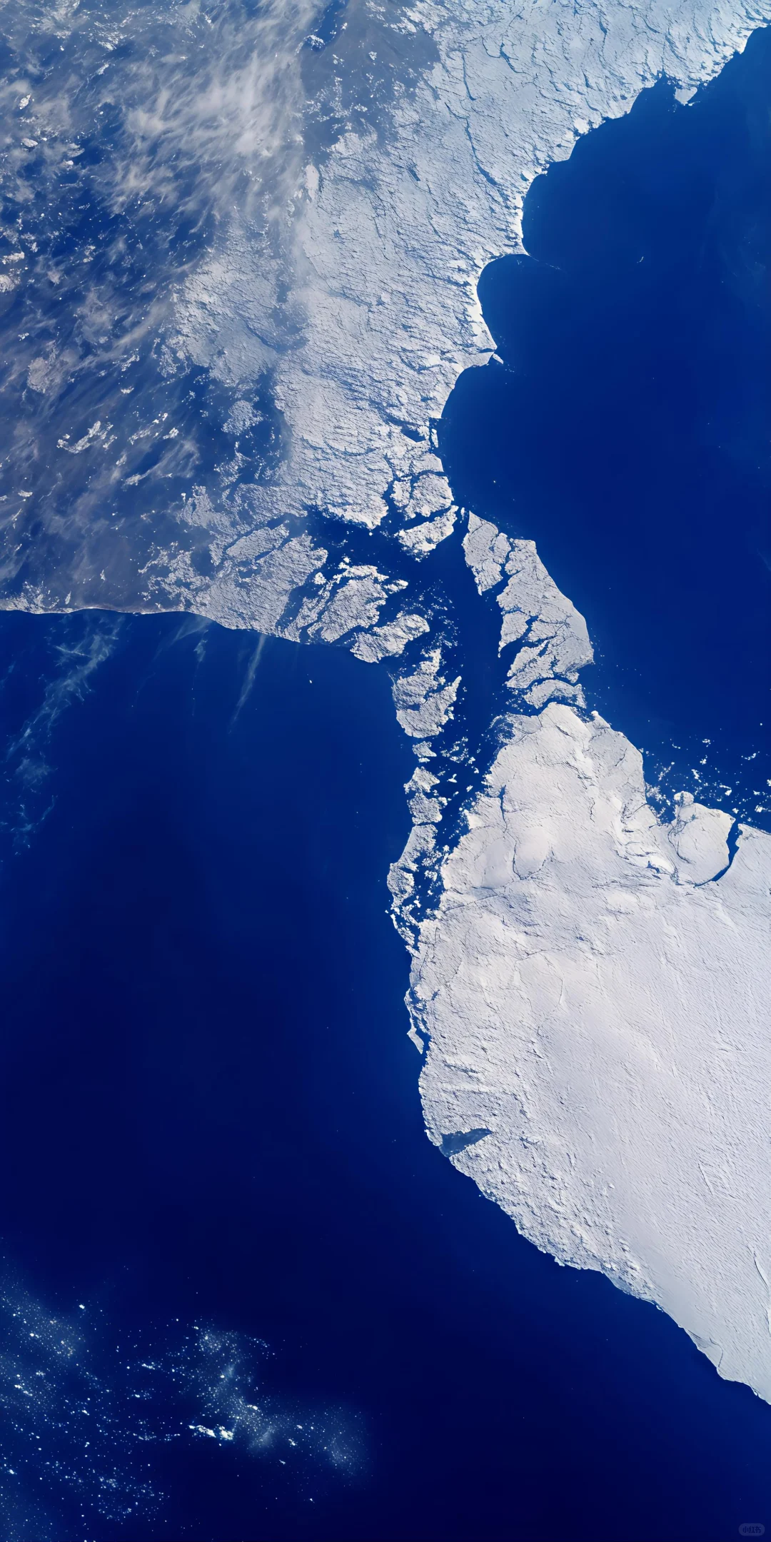 壁纸（296）海与海鸥