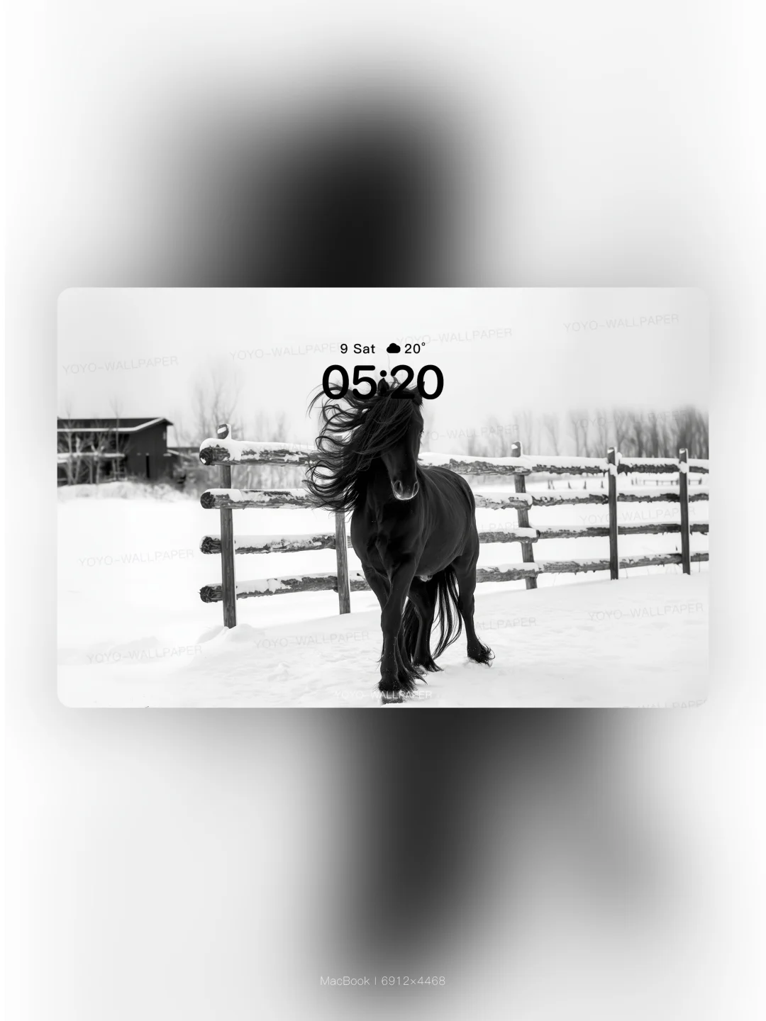 171 | ios景深壁纸 | 黑马踏雪❄️