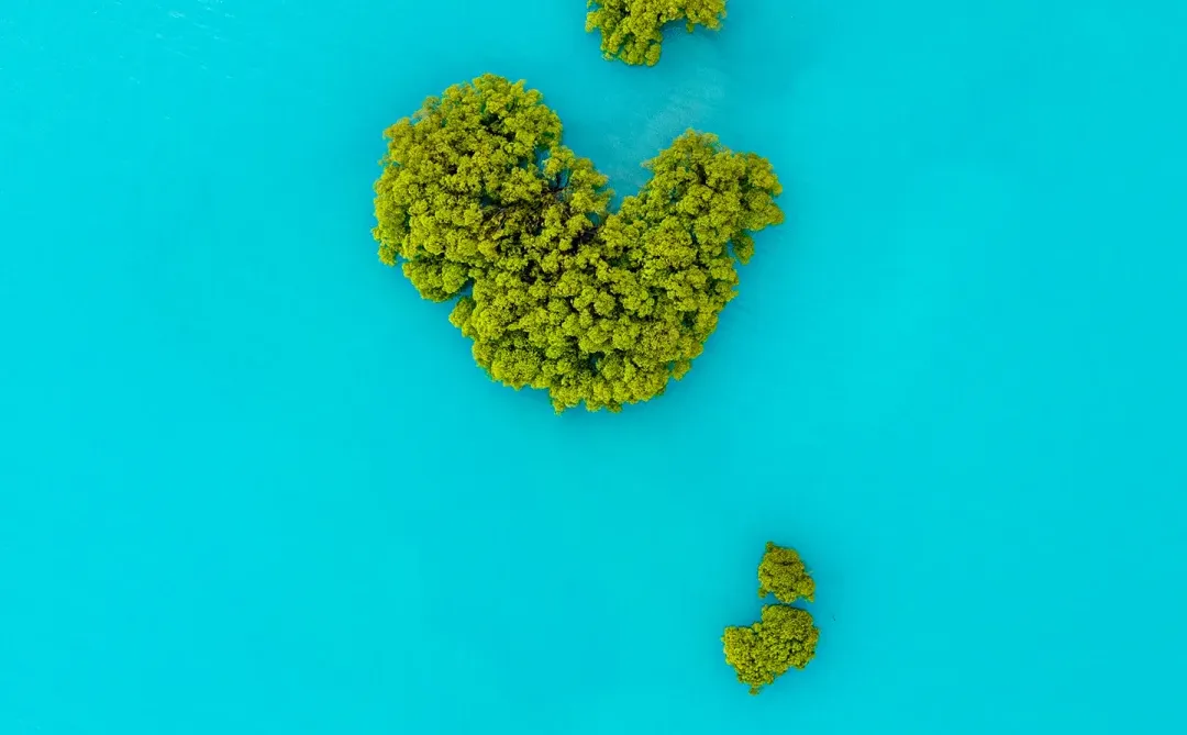 精选壁纸-高清手机壁纸 12.17