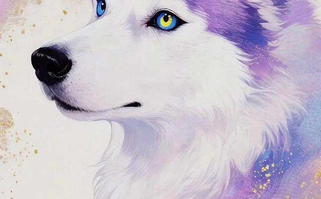 手机壁纸 | 与毛孩子的治愈时光