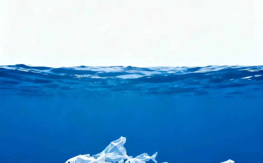 131｜手机壁纸分享｜假如塑料袋变成鱼