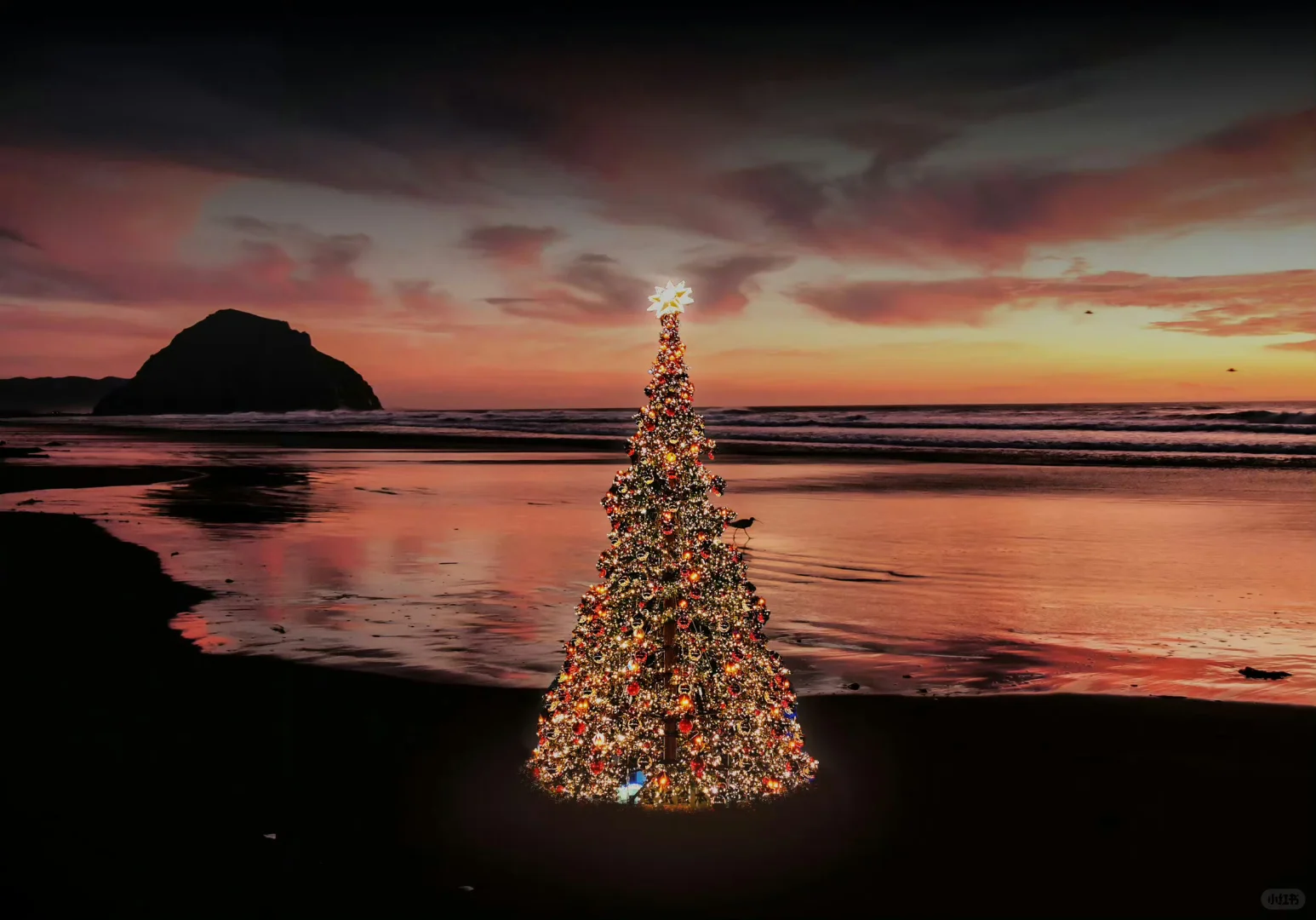 20251215电脑壁纸｜有趣好玩的ipd 壁纸～