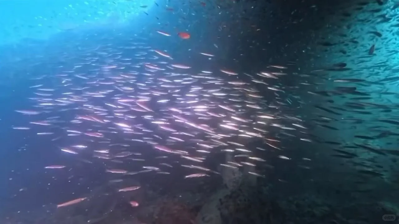 iPad动态壁纸/8k超清120帧率原视频