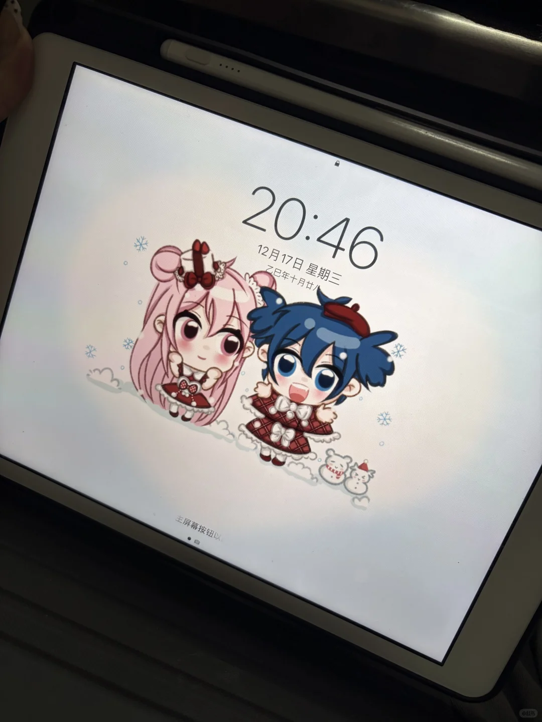 我期待的不是雪