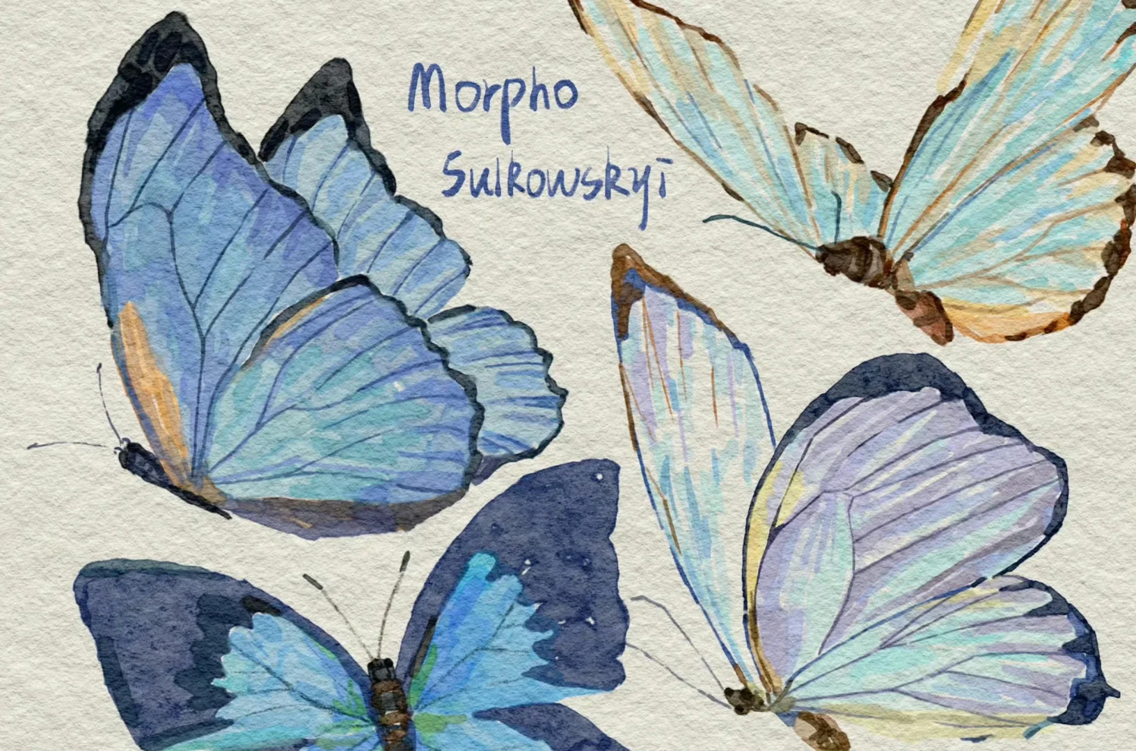 20251215电脑壁纸｜有趣好玩的ipd 壁纸～