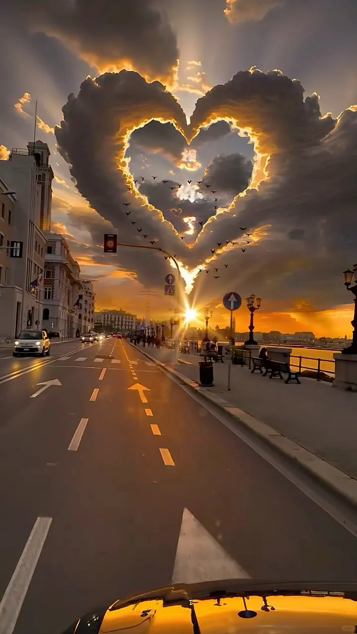 iPad动态壁纸/8k超清120帧率原视频