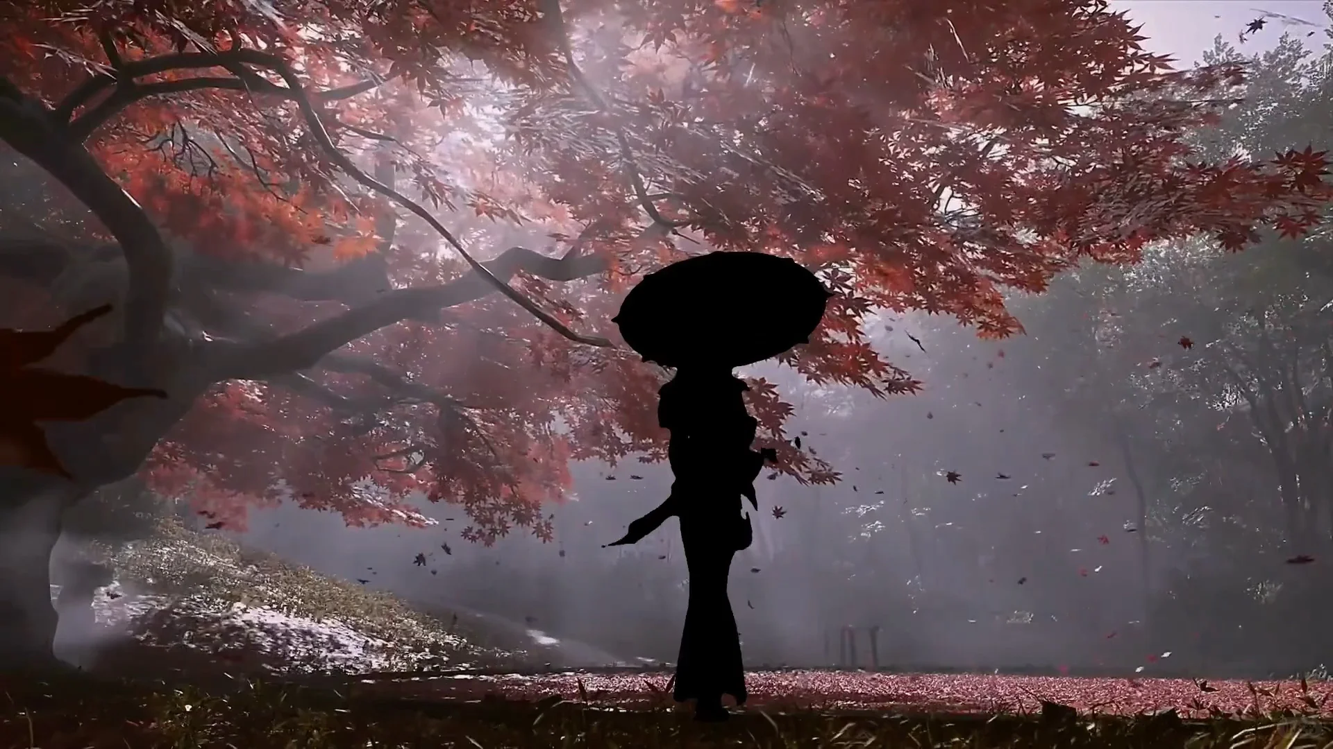 iPad动态壁纸/8k超清120帧率原视频