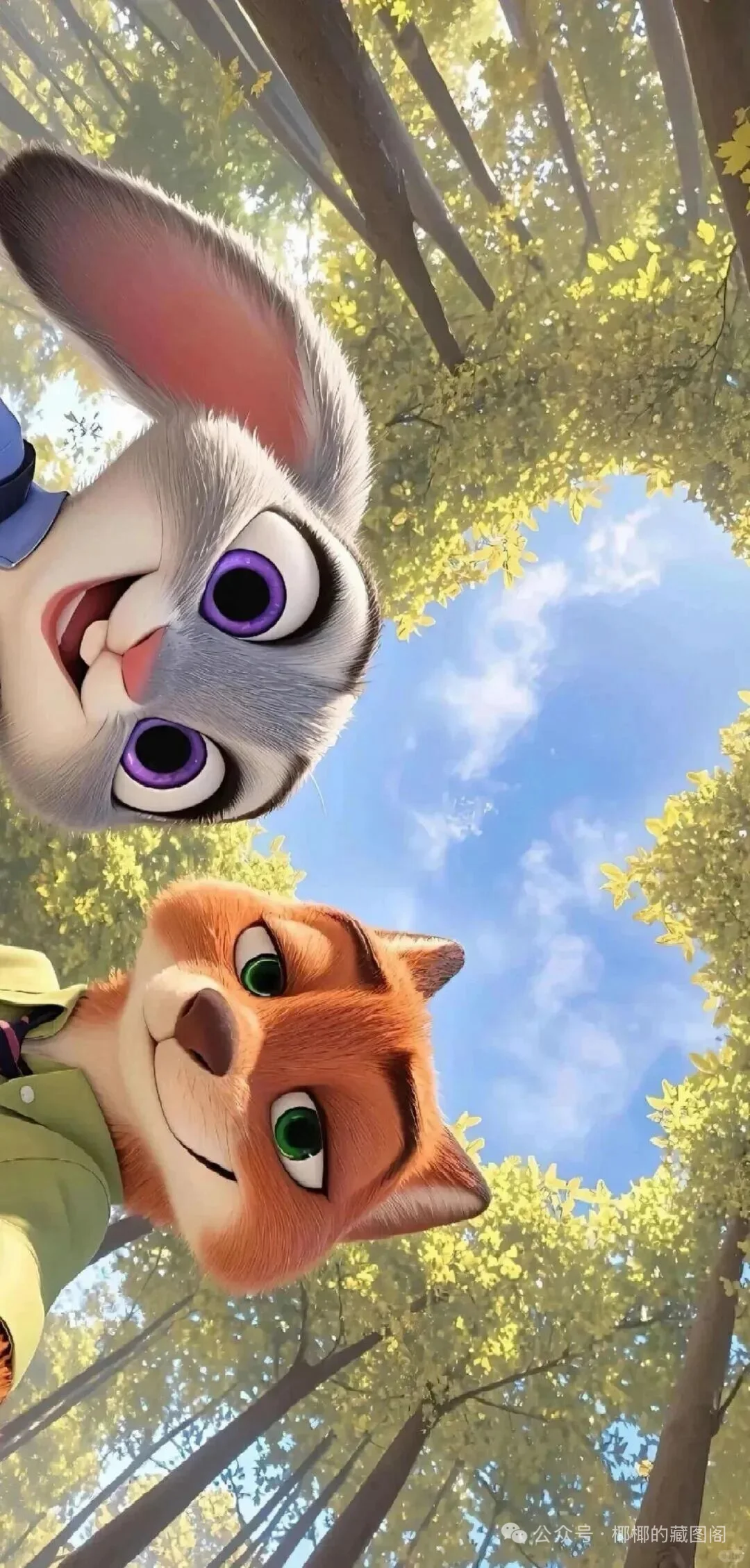 尼克朱迪之迪士尼高清手机情侣壁纸🦊🐰