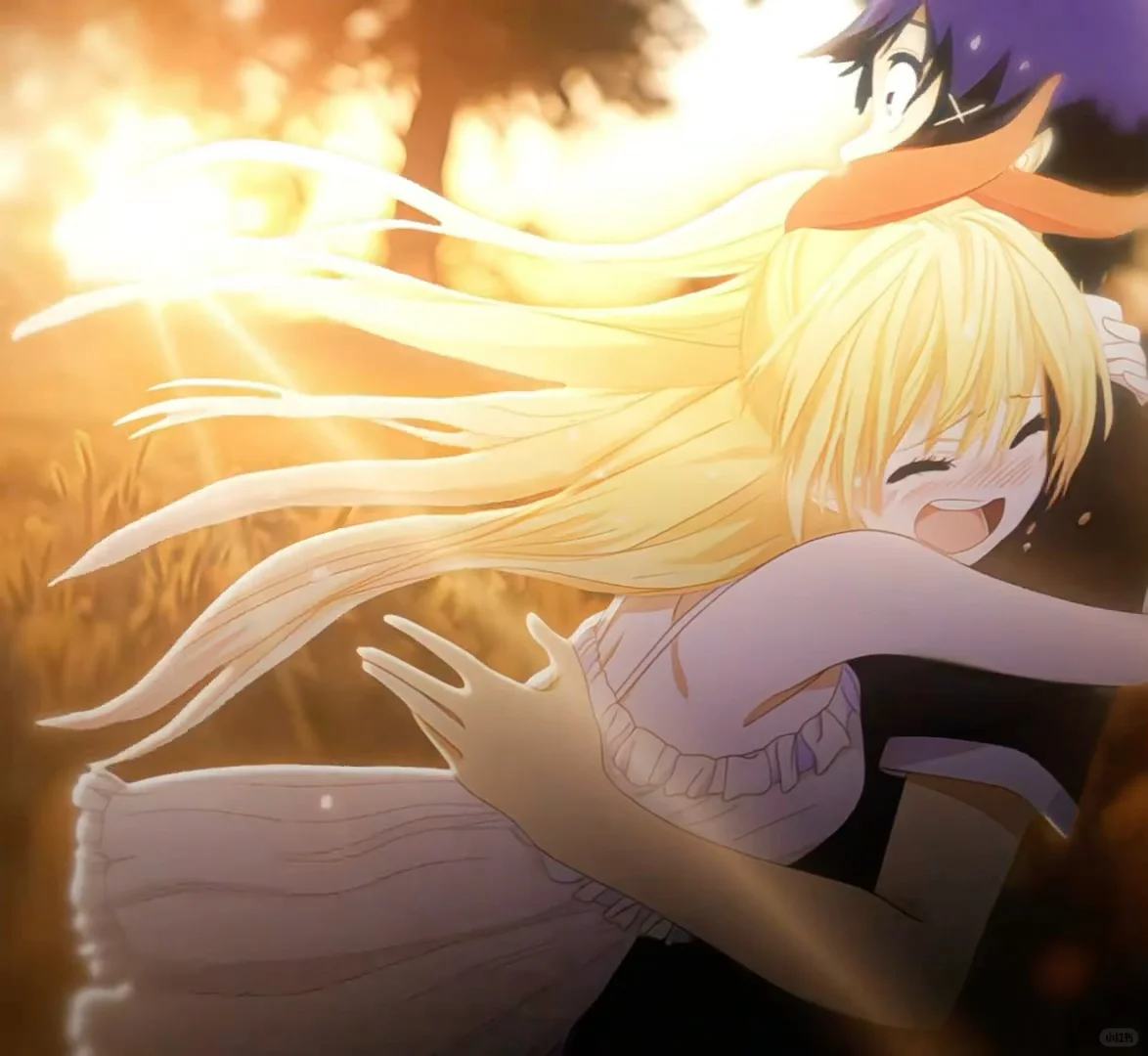 iPad动态壁纸/8k超清120帧率原视频