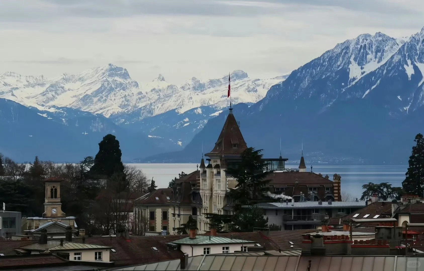 20251215电脑壁纸｜有趣好玩的ipd 壁纸～