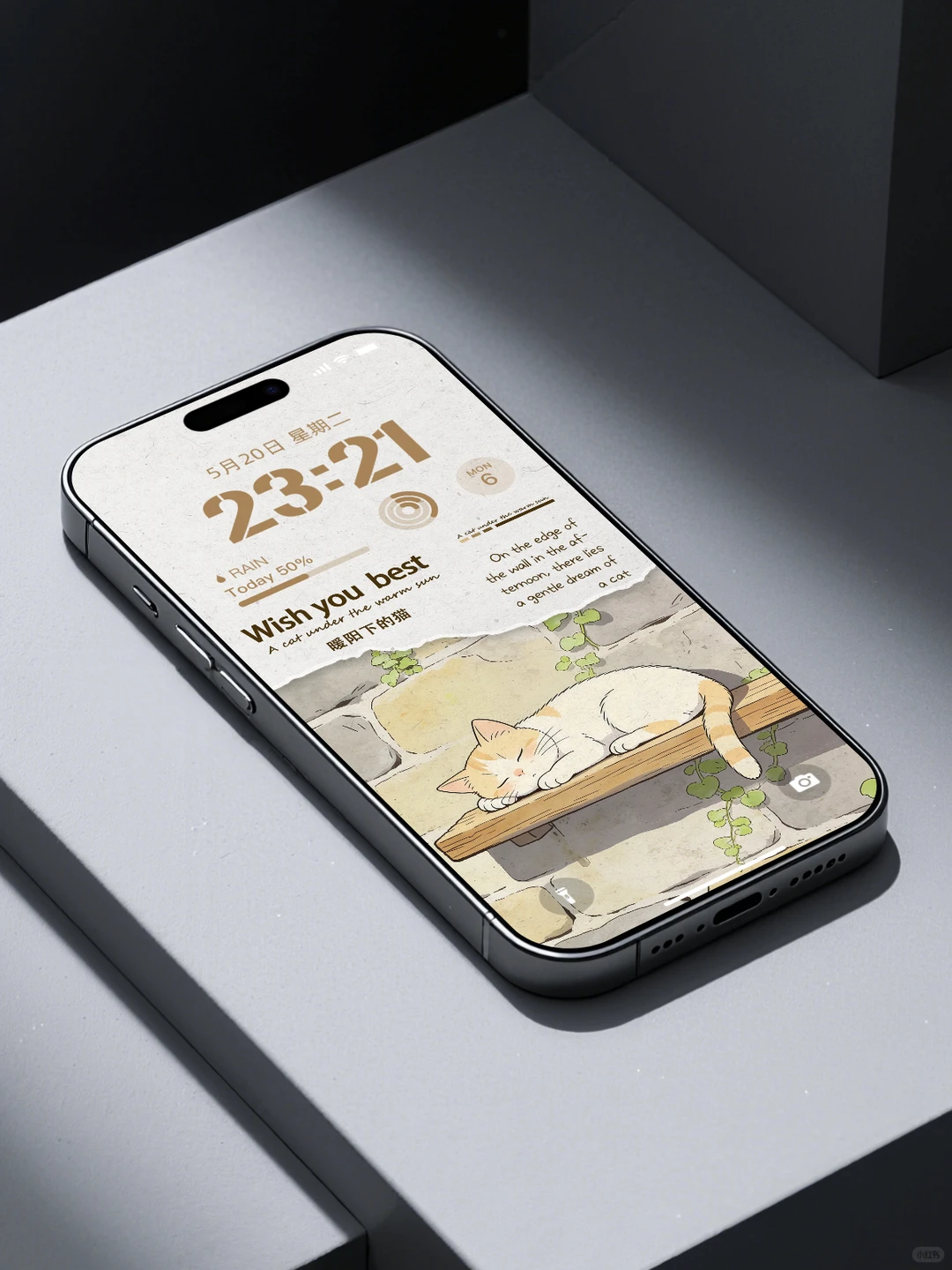 暖阳下的猫★治愈手机壁纸