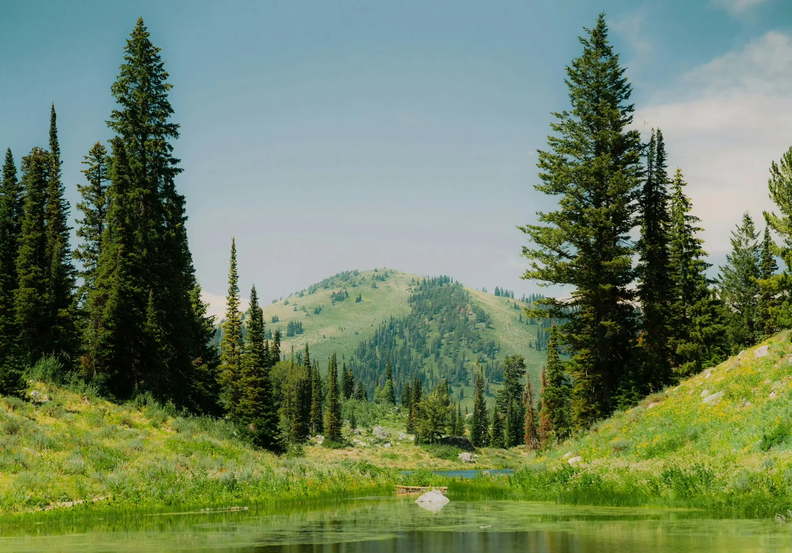 20251215电脑壁纸｜有趣好玩的ipd 壁纸～