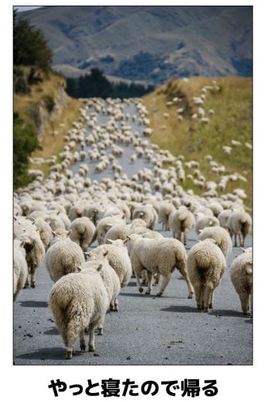 图中日语什么意思？