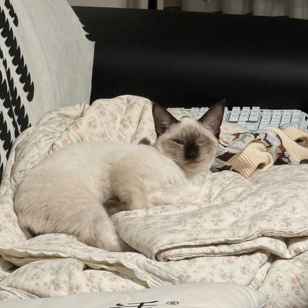 原来是这个意思呀