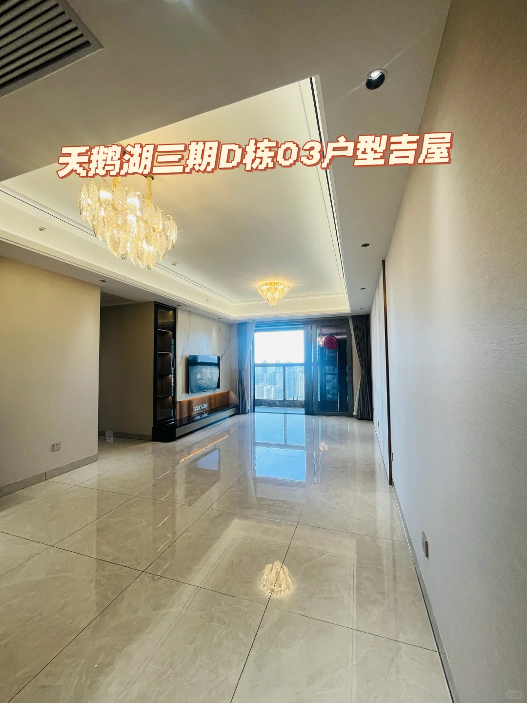 天鹅湖三期D栋03户型吉屋，大家觉得怎么样