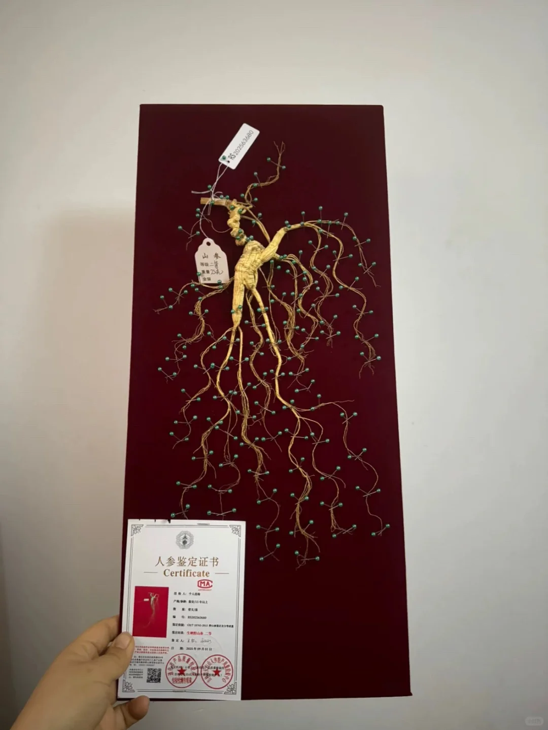 这参怎么样？有8年么？