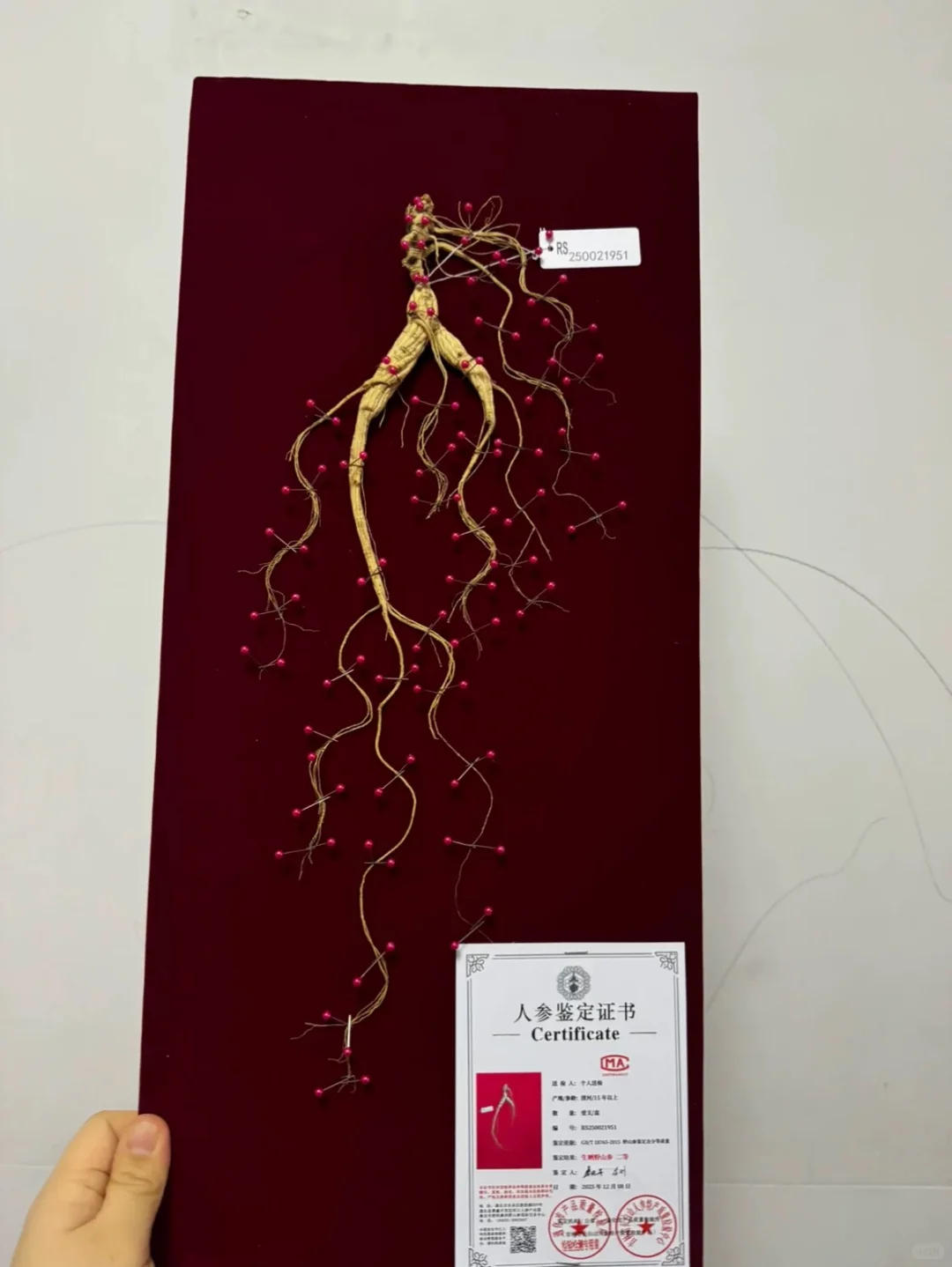 这参怎么样？有8年么？