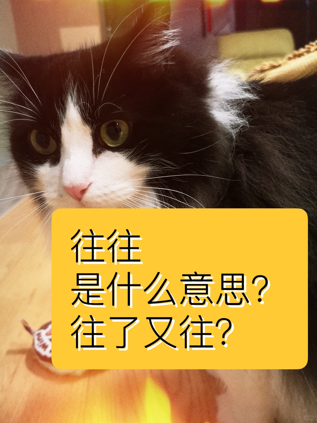 往往是什么意思