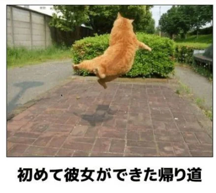 图中日语什么意思？