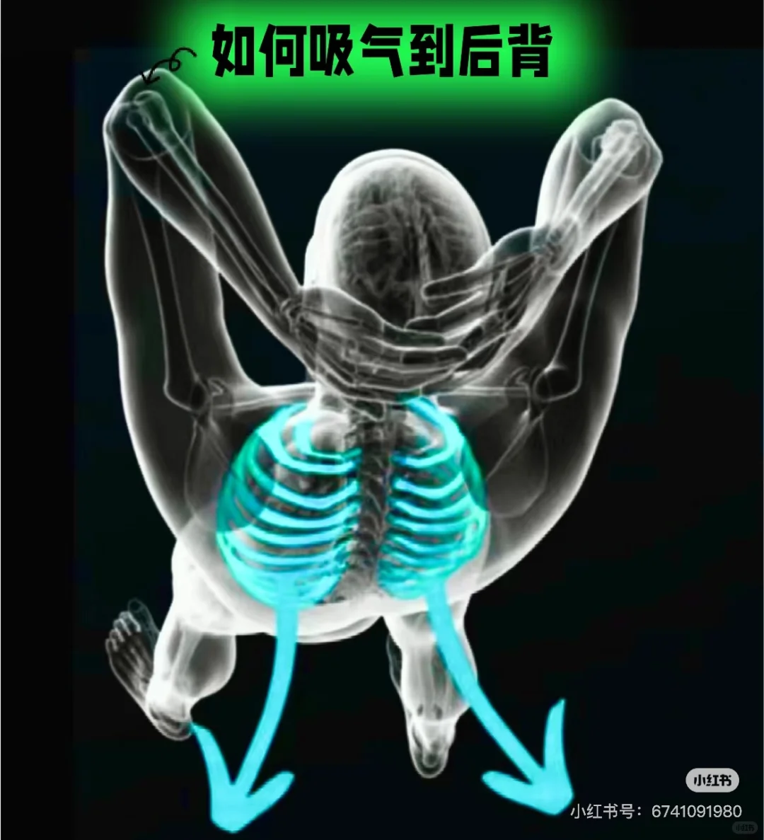 吸气到后背为什么这么重要？