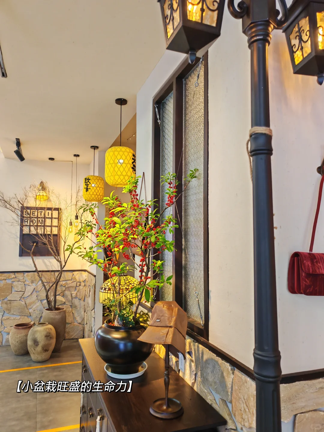 大家最近过的好不好