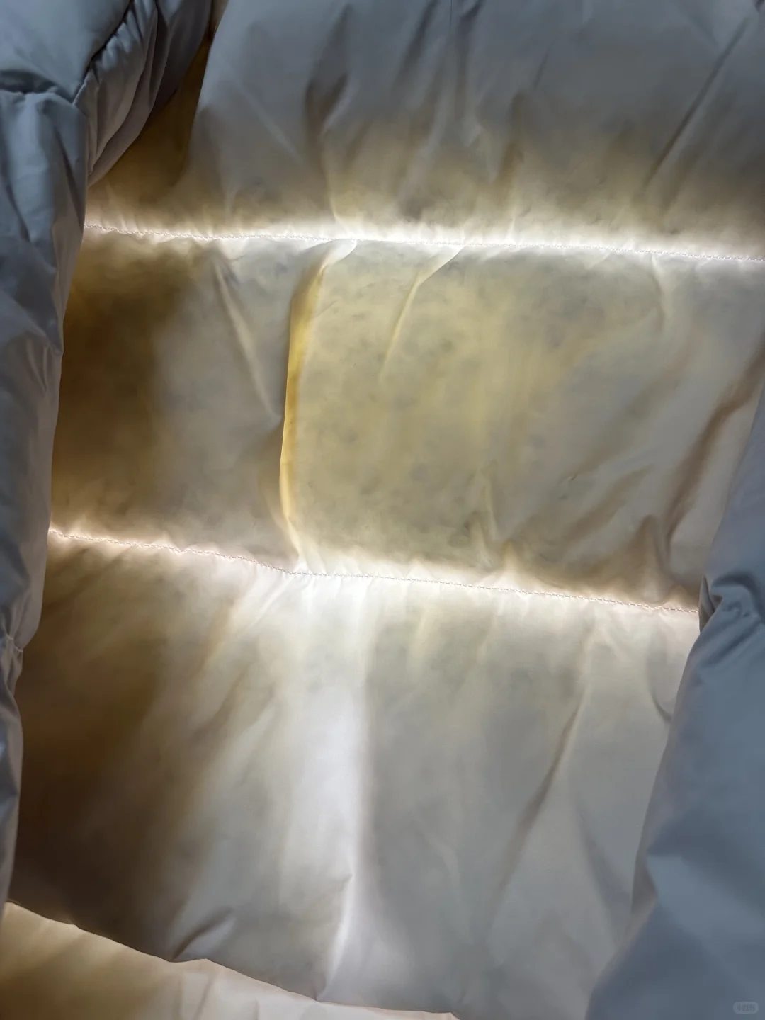 这个绒怎么样？你照得出来吗？