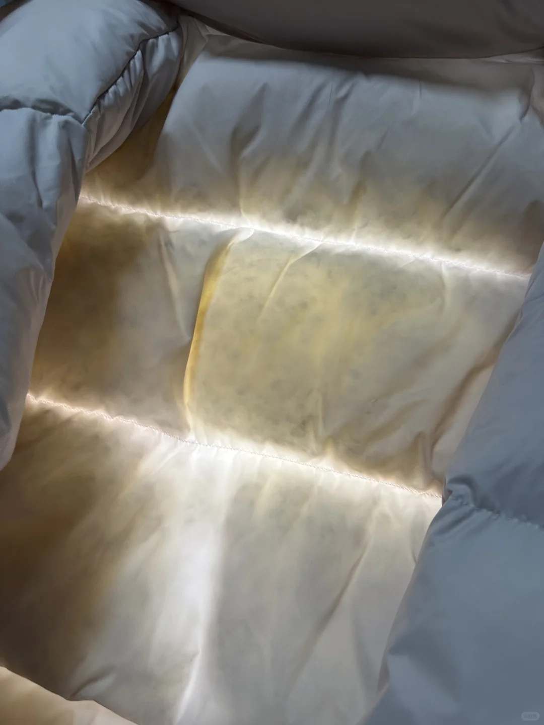 这个绒怎么样？你照得出来吗？