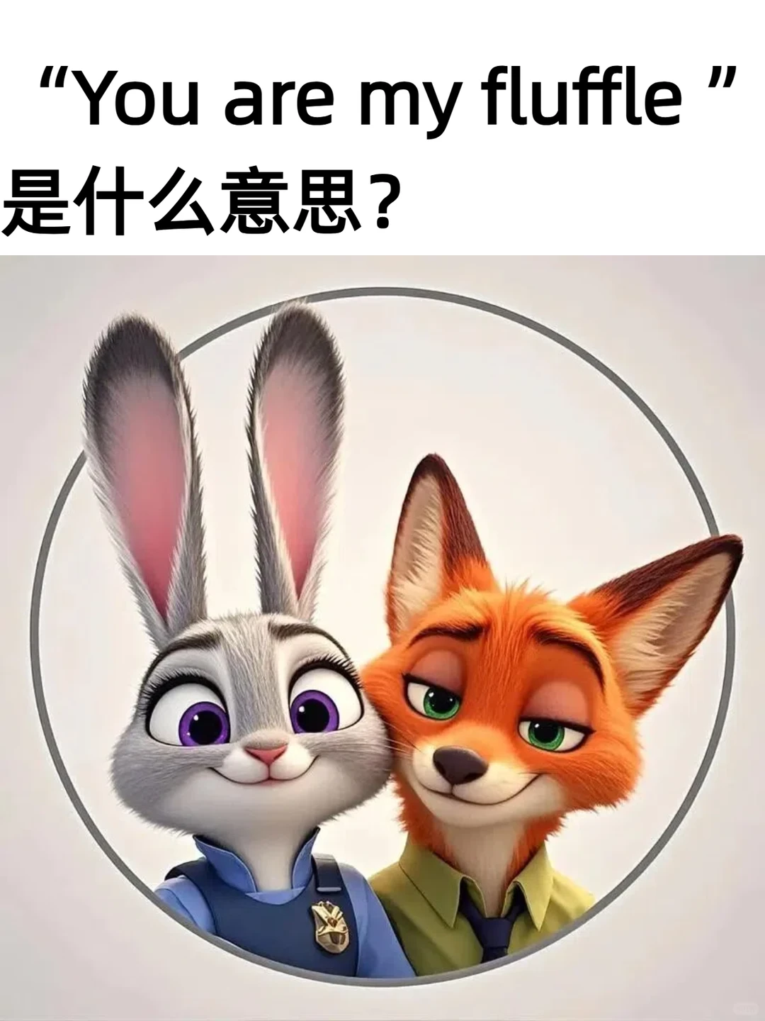 朱迪说的“You are my fluffle ”是什么意思？