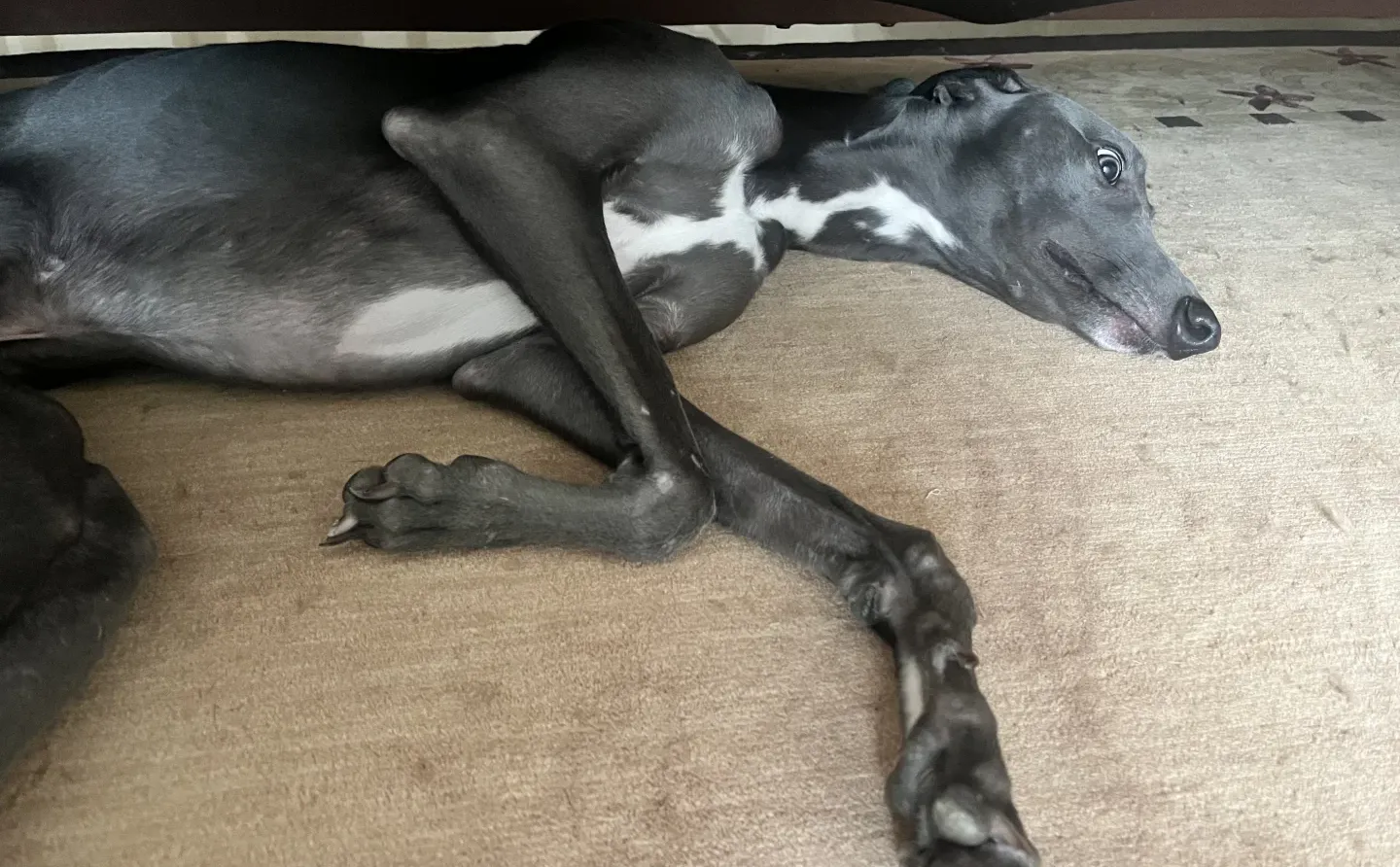 他是什么意思？