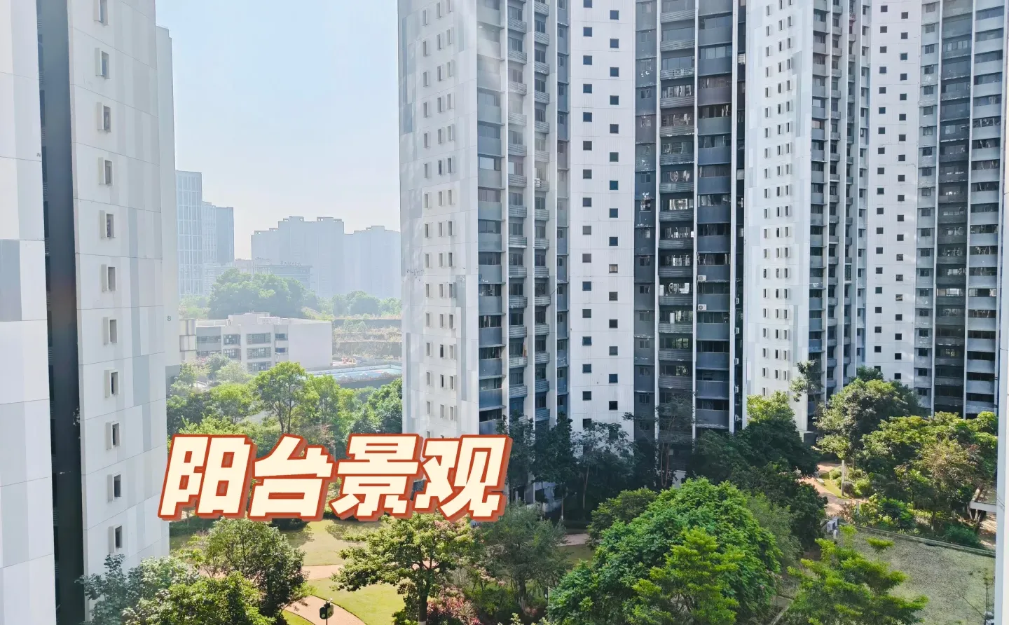 今日知识城来看房，这个小区怎么样