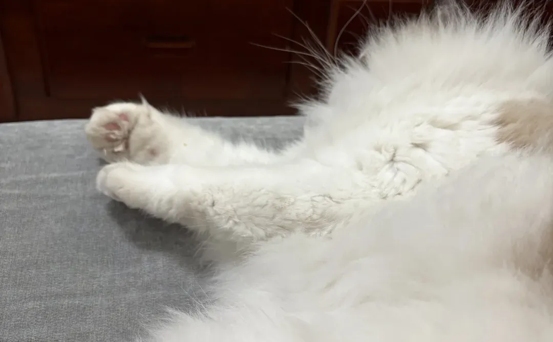 算了你肯定觉得没意思