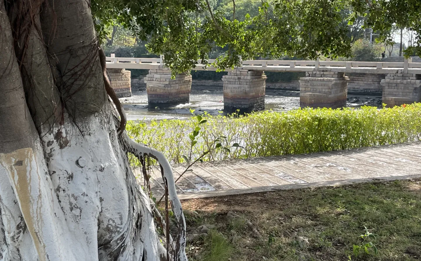 五里桥风景，怎么样，有没有一股画中诗的感觉