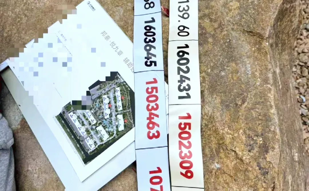 悦九章开盘价格，大家觉得怎么怎么样？