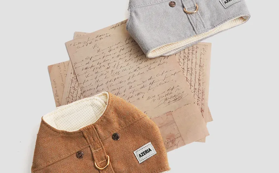 下期试穿官选这个胸背怎么样？