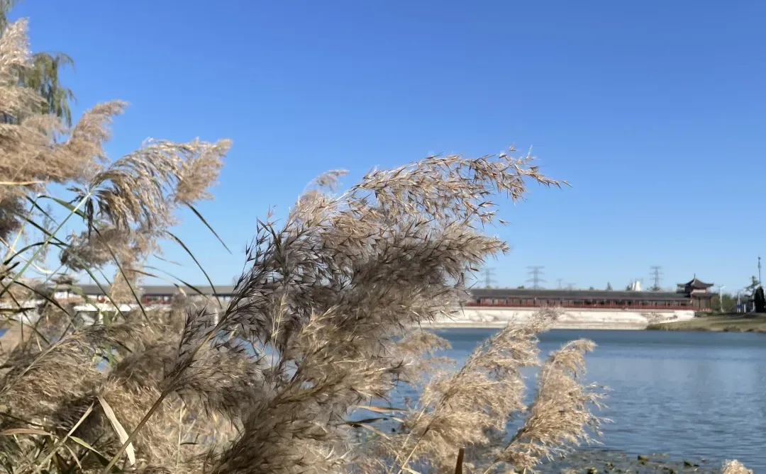 你为什么总是解释自己?